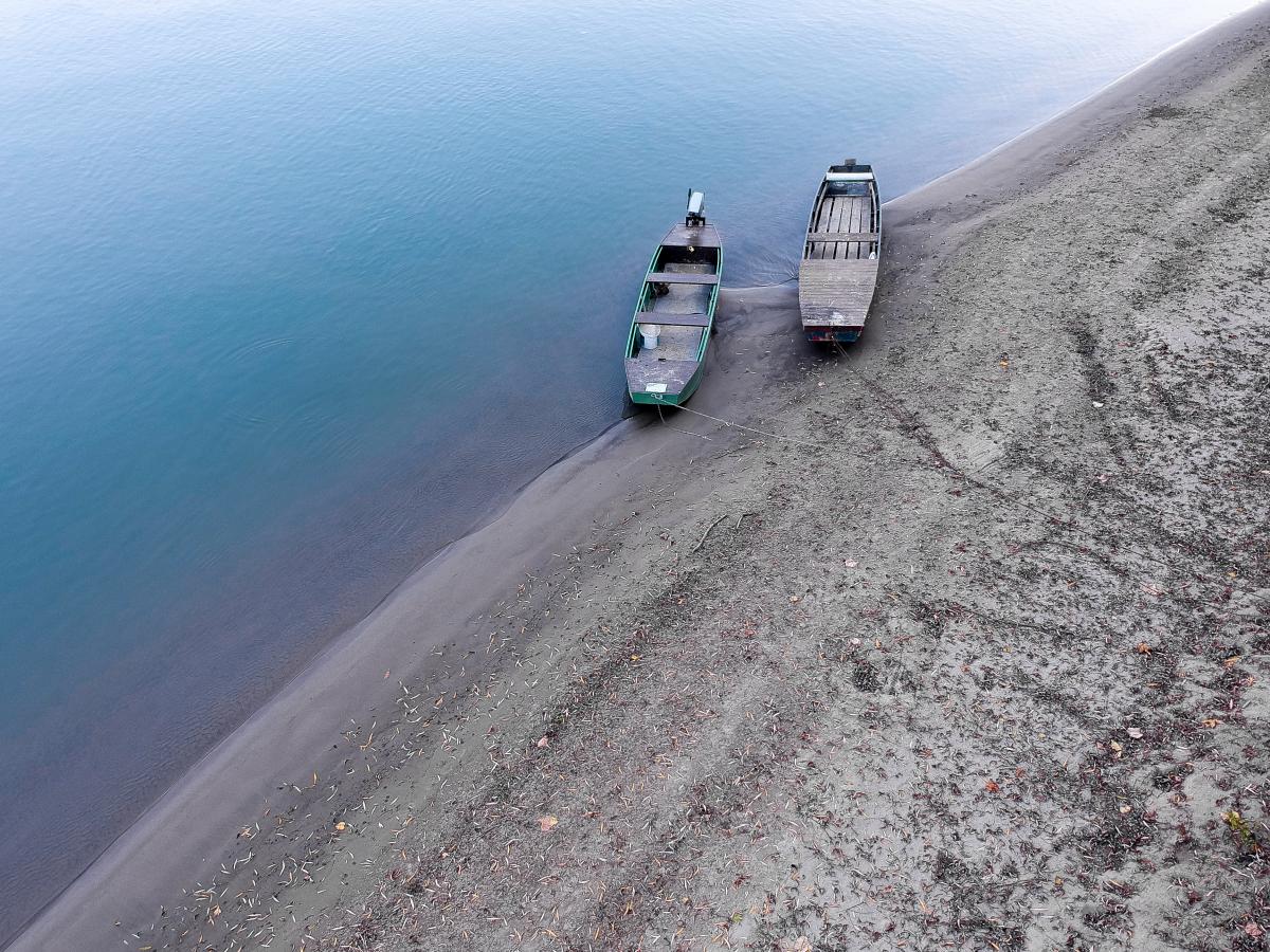 Koncz-Bisztricz Tamás