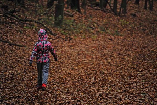 Pötyike a nagy erdőben