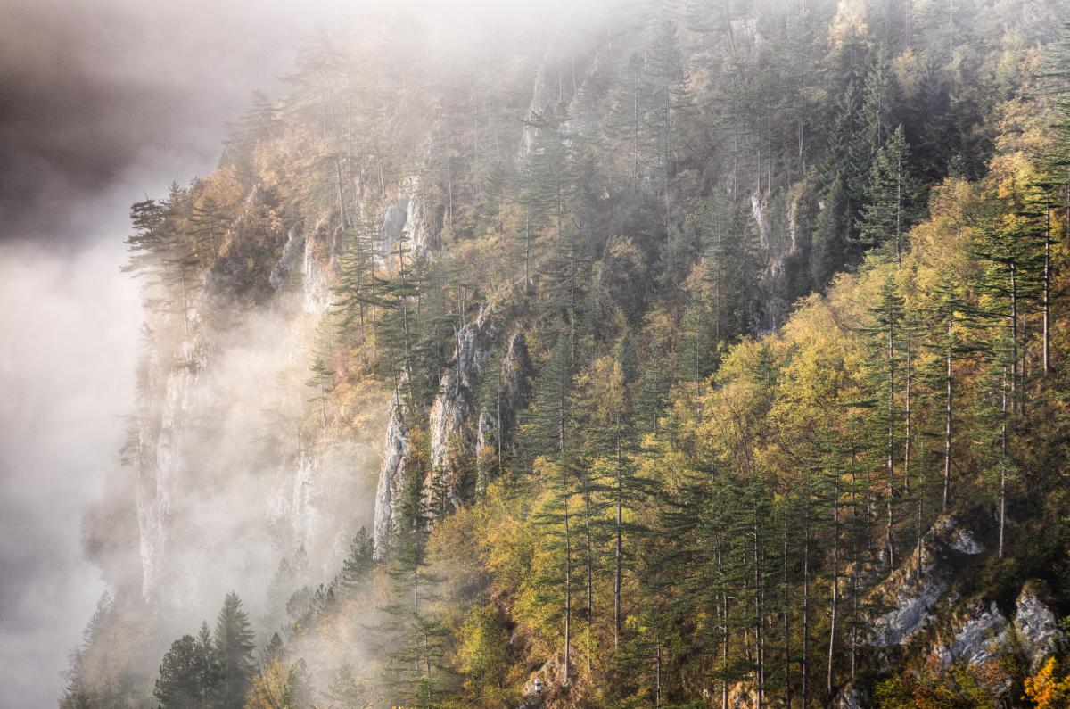 Szakolczai Krisztina