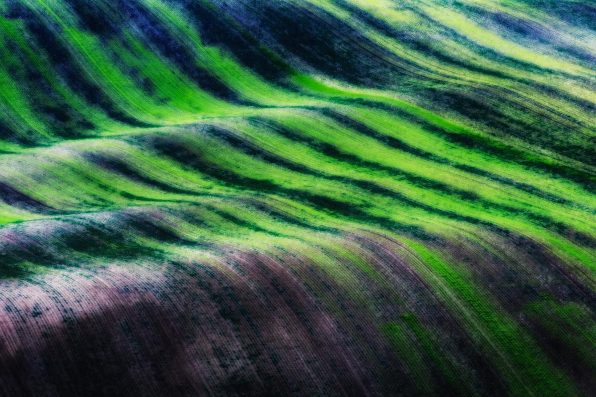 Szakolczai Krisztina