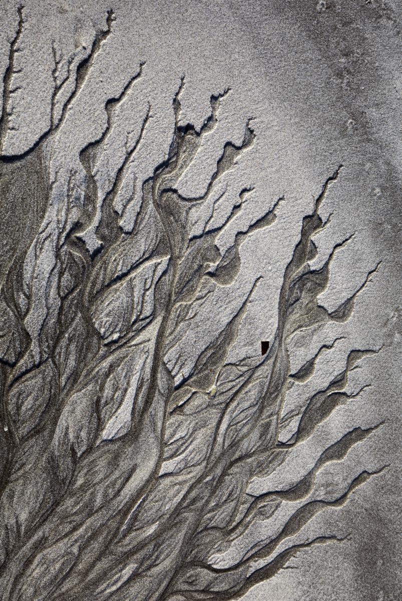 dr. Horváth Erzsébet