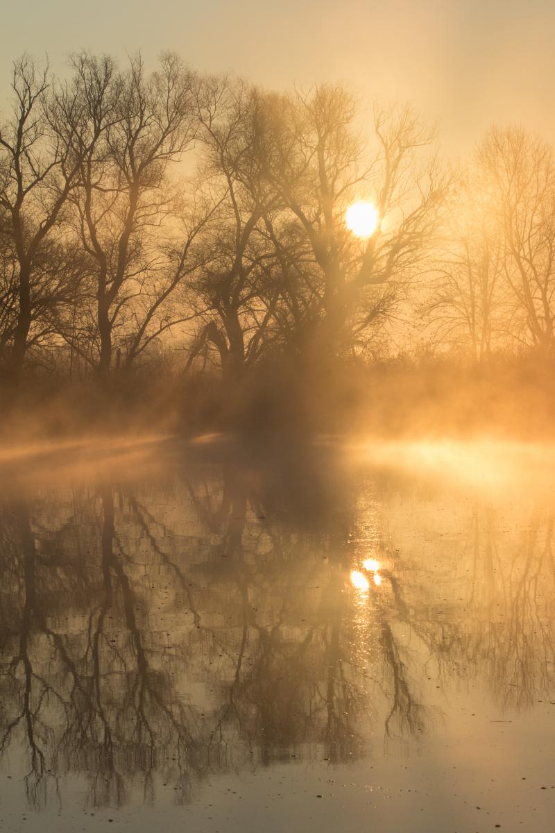 Koncz-Bisztricz Tamás