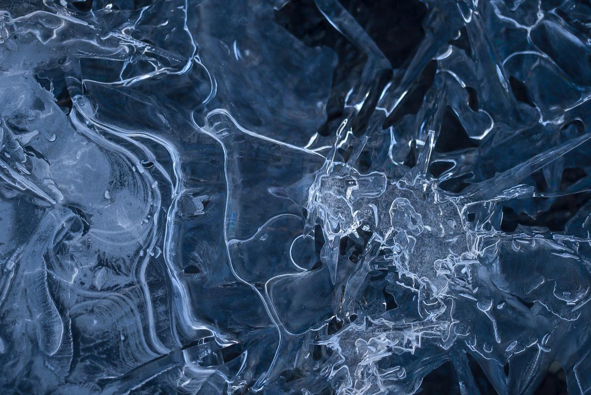 Darányiné Bakos Éva