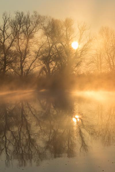 Hajnal a holtágnál