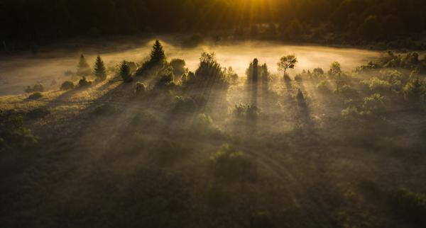 A természet zongorája.
