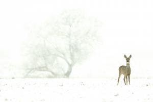 A semmi közepén A semmi közepén