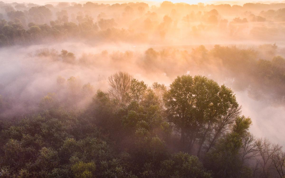 Koncz-Bisztricz Tamás