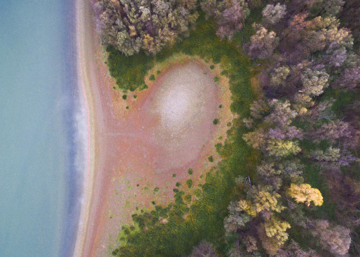 Koncz-Bisztricz Tamás