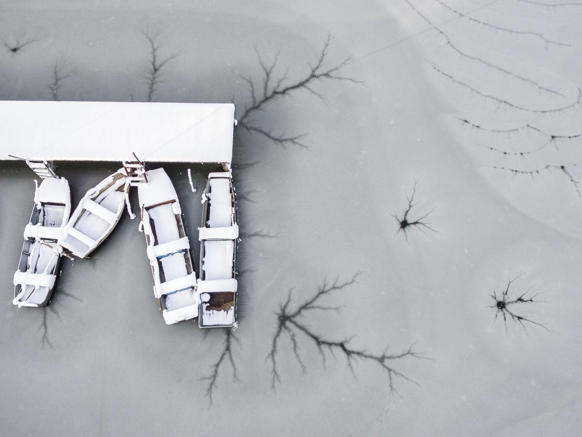 Koncz-Bisztricz Tamás