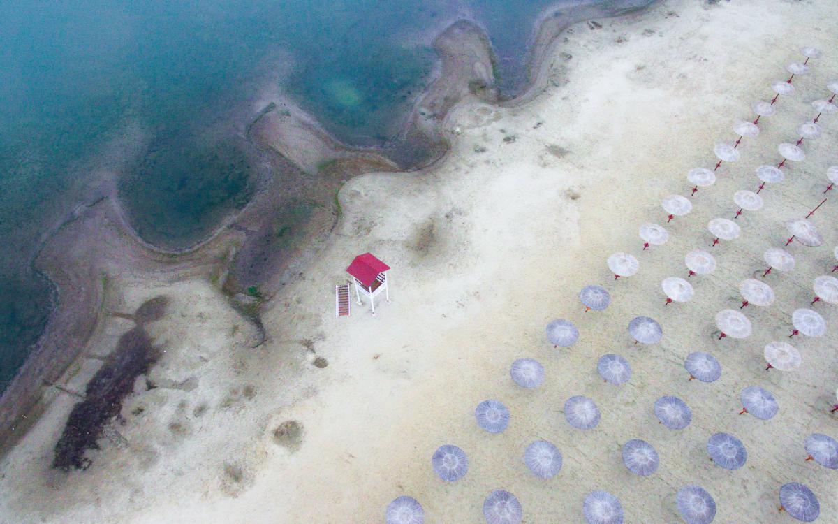 Koncz-Bisztricz Tamás