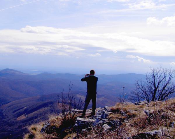 Kora tavaszi kilátások