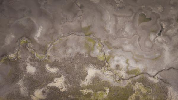 Szívet ölelő erek