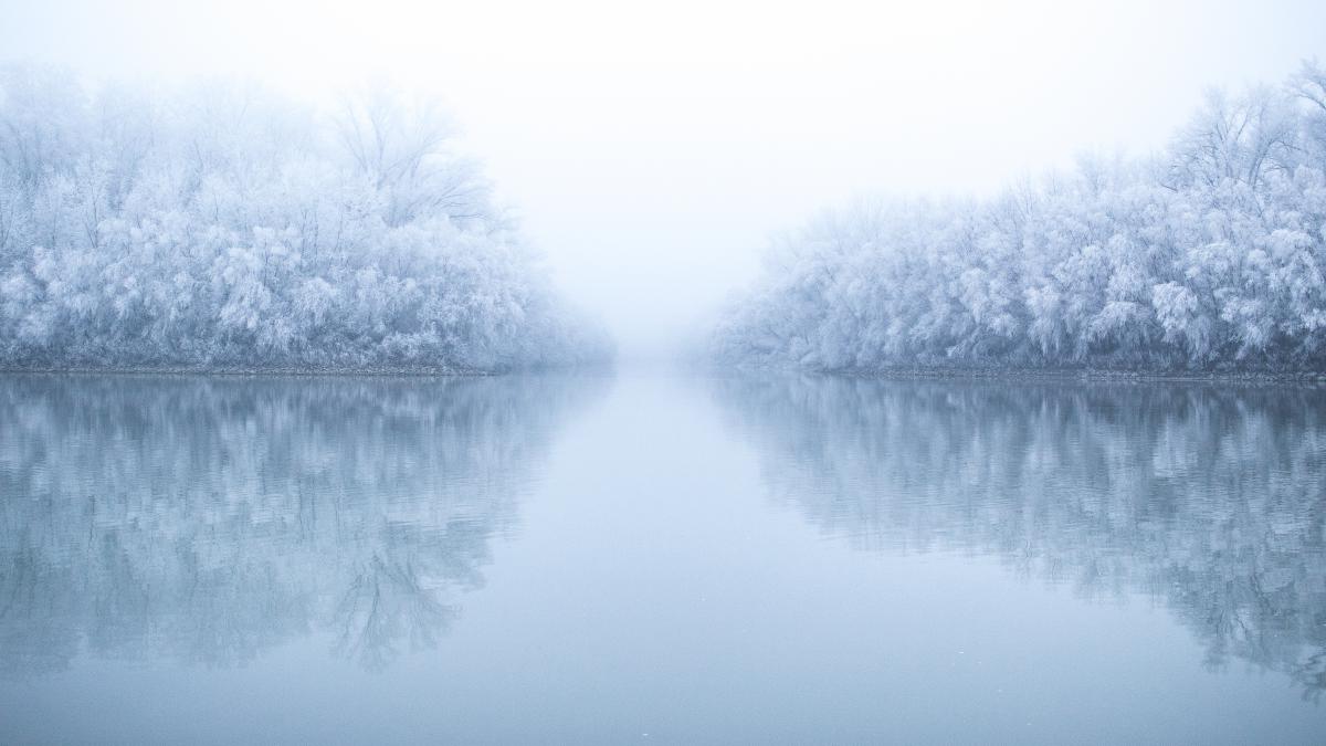 Koncz-Bisztricz Tamás