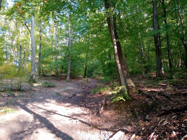 Állatok a hegyekben 2020