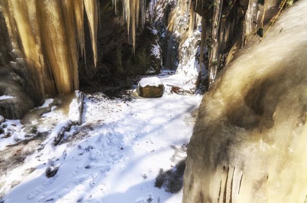 A jégbe zárt világ