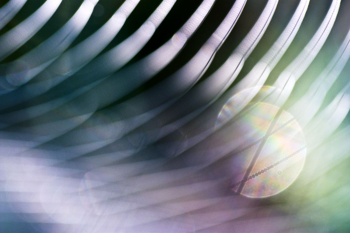 Sándor-Tóth Zsuzsanna