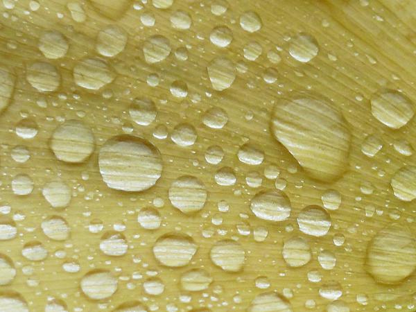 Bolygók sűrűjében...