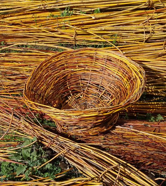 Fűzfa kosár készül