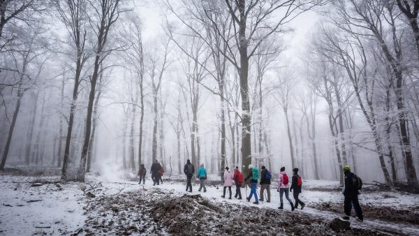 Útban a Prédikálószékre