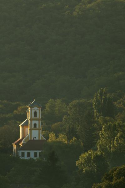Templom az erdő mélyén