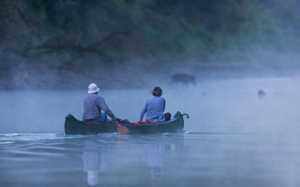 Hajnali találkozás