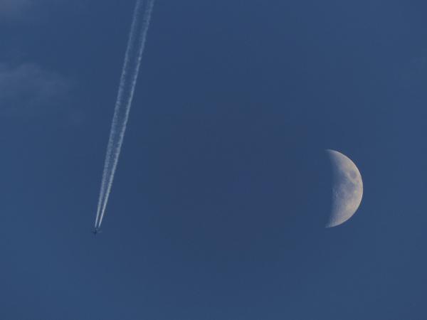 Majd legközelebb...