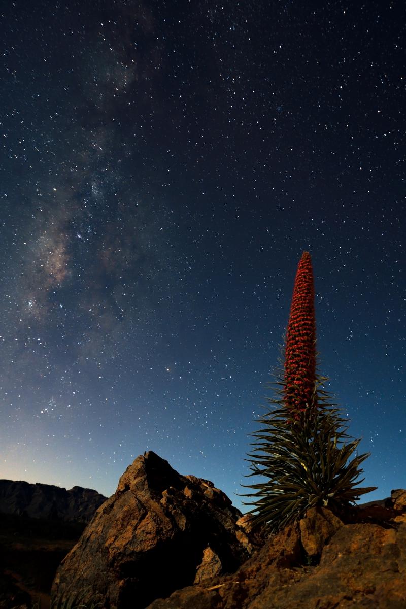 Násfayné Kőházi Mária