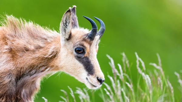 Szememben a világ...