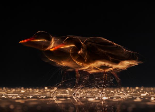 A következő pillanat