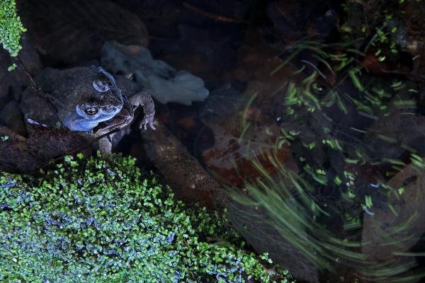Felkavaró érzelmek