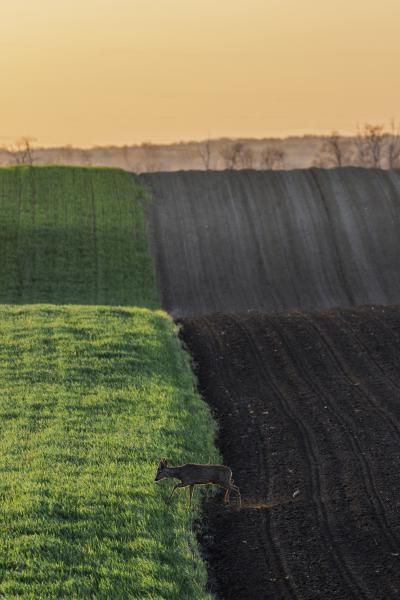 Lépd át a határt!