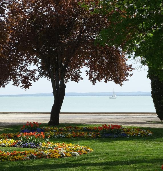 Tavasz a Tagore sétányon