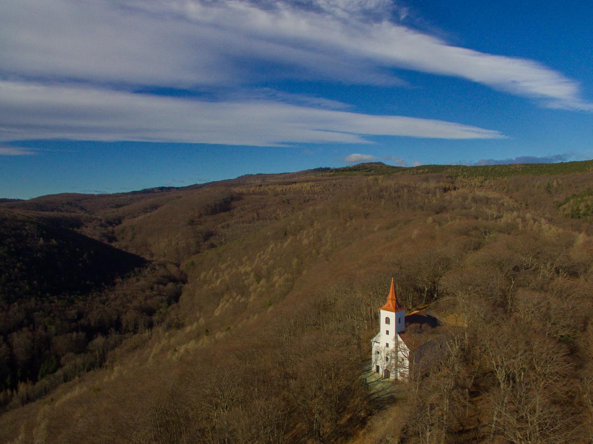 Koncz-Bisztricz Tamás