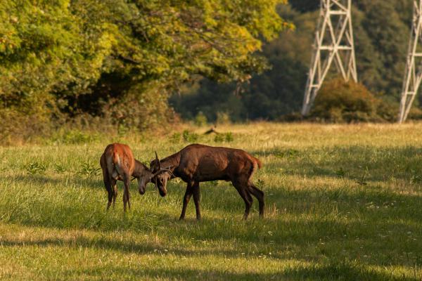 Érzékelhető feszültség