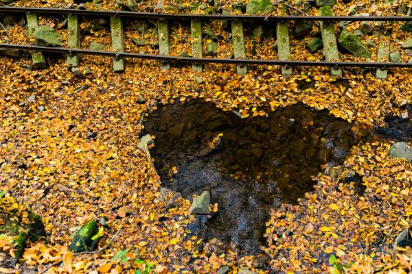 Hogyha elindul a vonat...