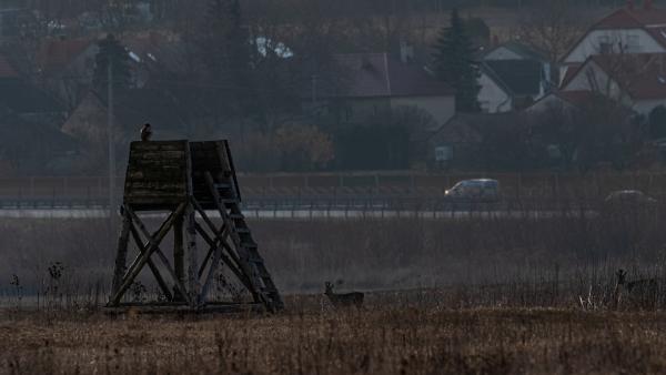 Hajnali együttállás