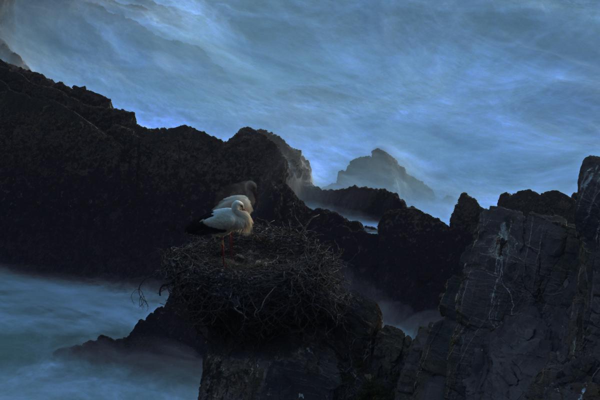 Násfayné Kőházi Mária