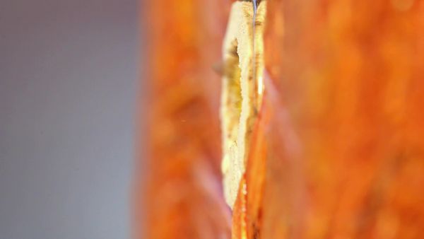 Vadméhek peterakása