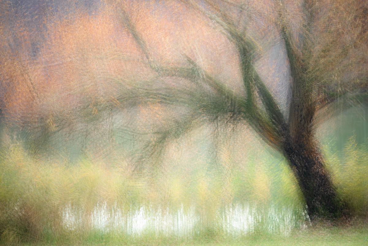 Darányiné Bakos Éva