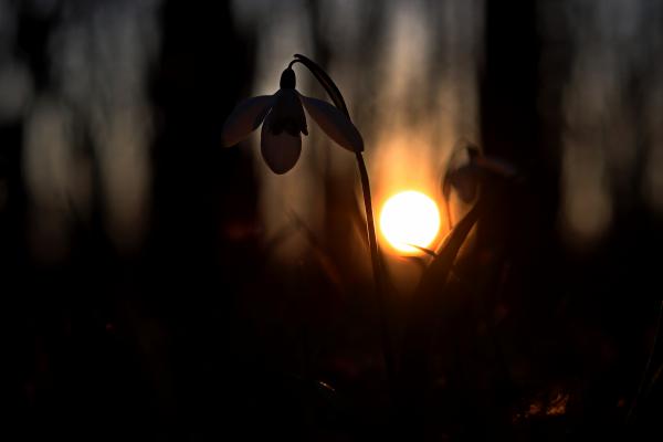 Tavasz este az Adonyi szigeten