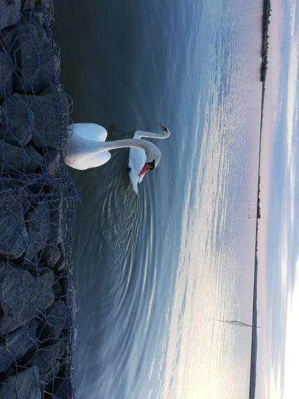 Kajakozás a velencei tavon