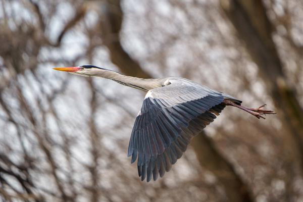 A végtelenbe és tovább!