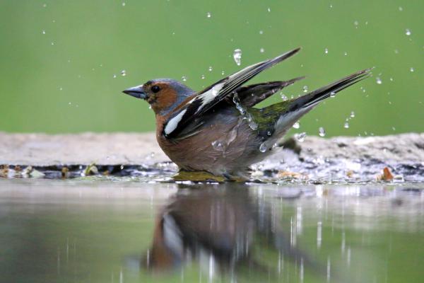 Úgy élvezem én a strandot