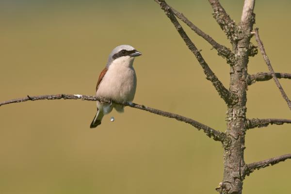 Kicsit megijedtem...