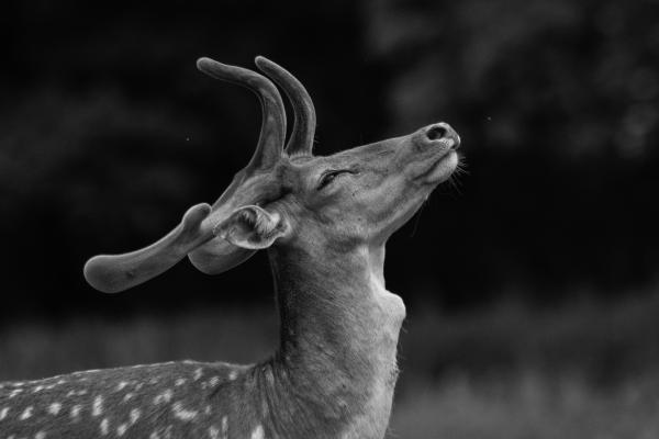 Valami van a levegőben