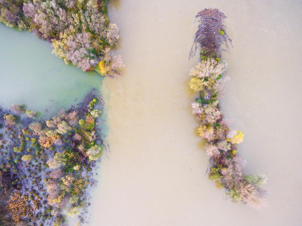 Koncz-Bisztricz Tamás