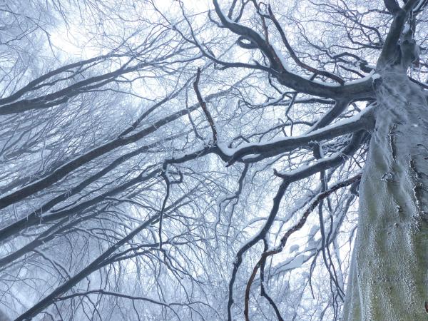 Óriások között...