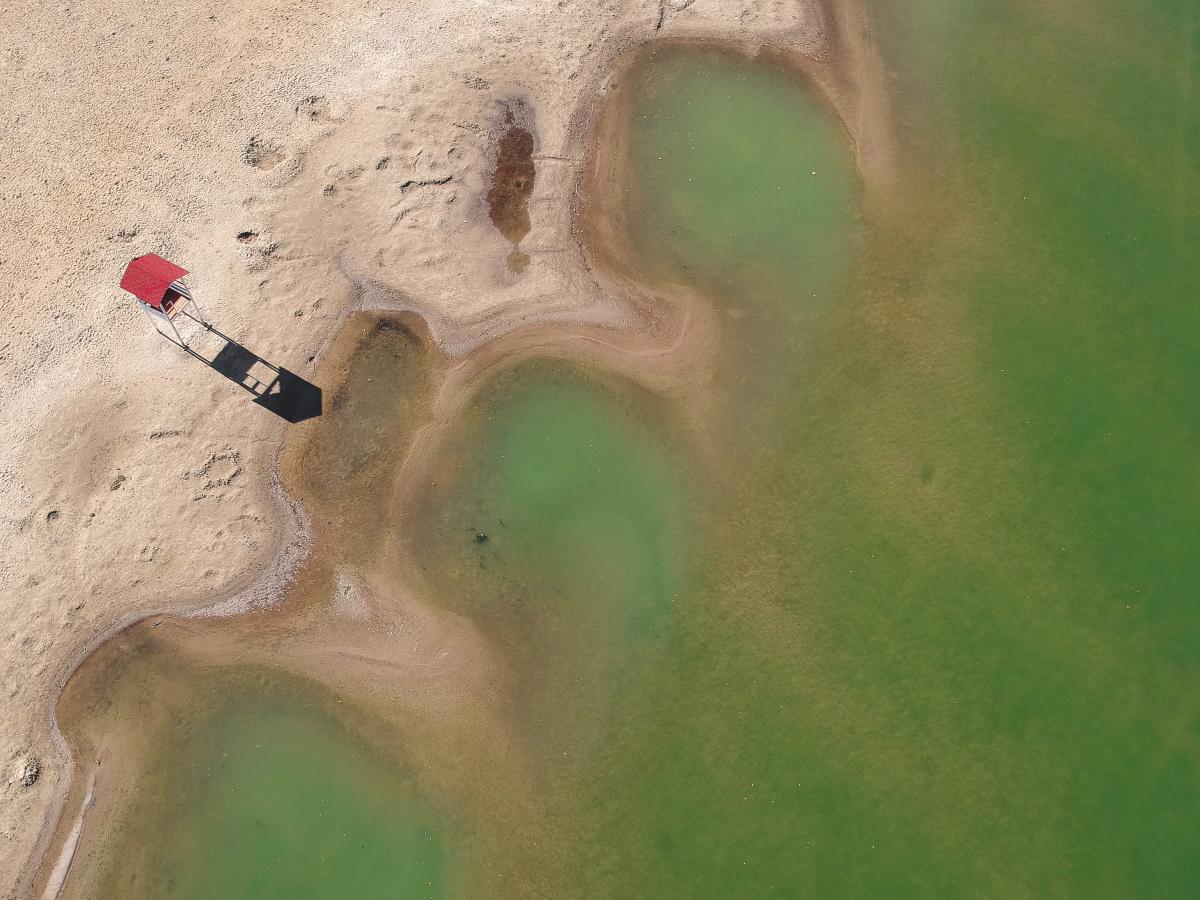 Koncz-Bisztricz Tamás