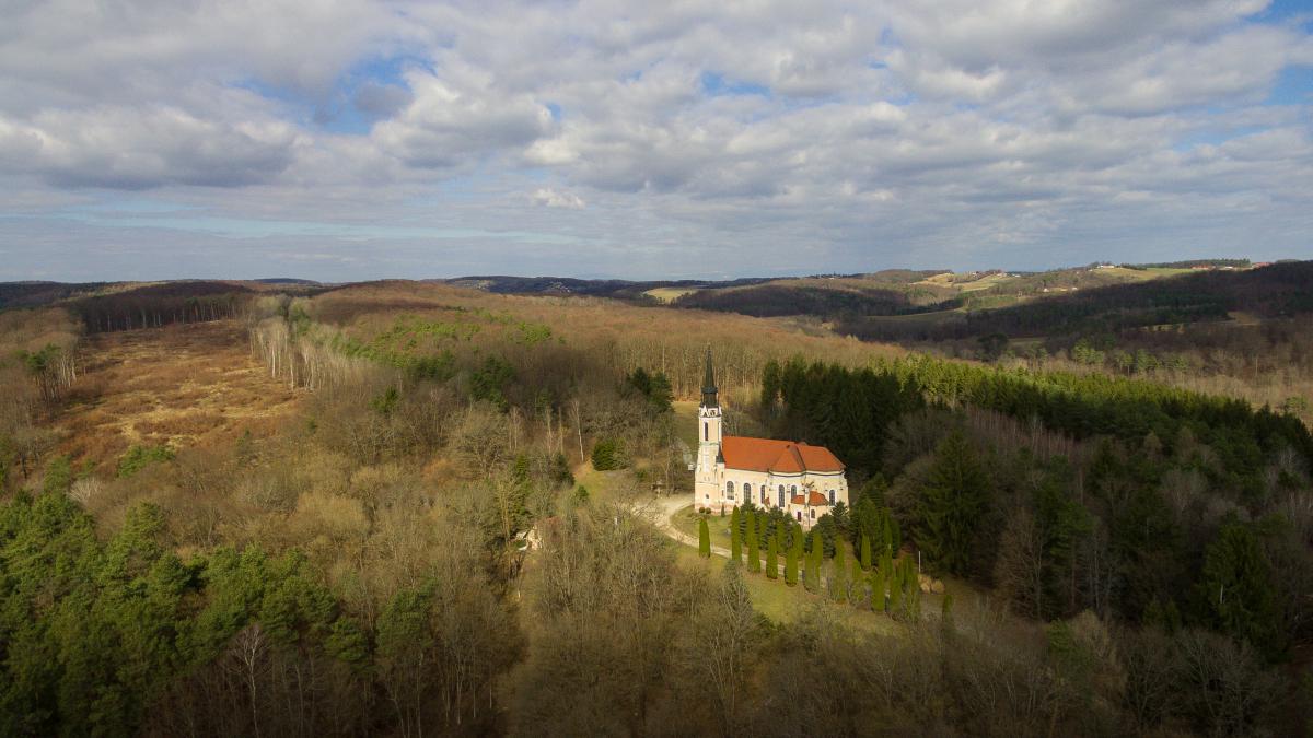 Koncz-Bisztricz Tamás