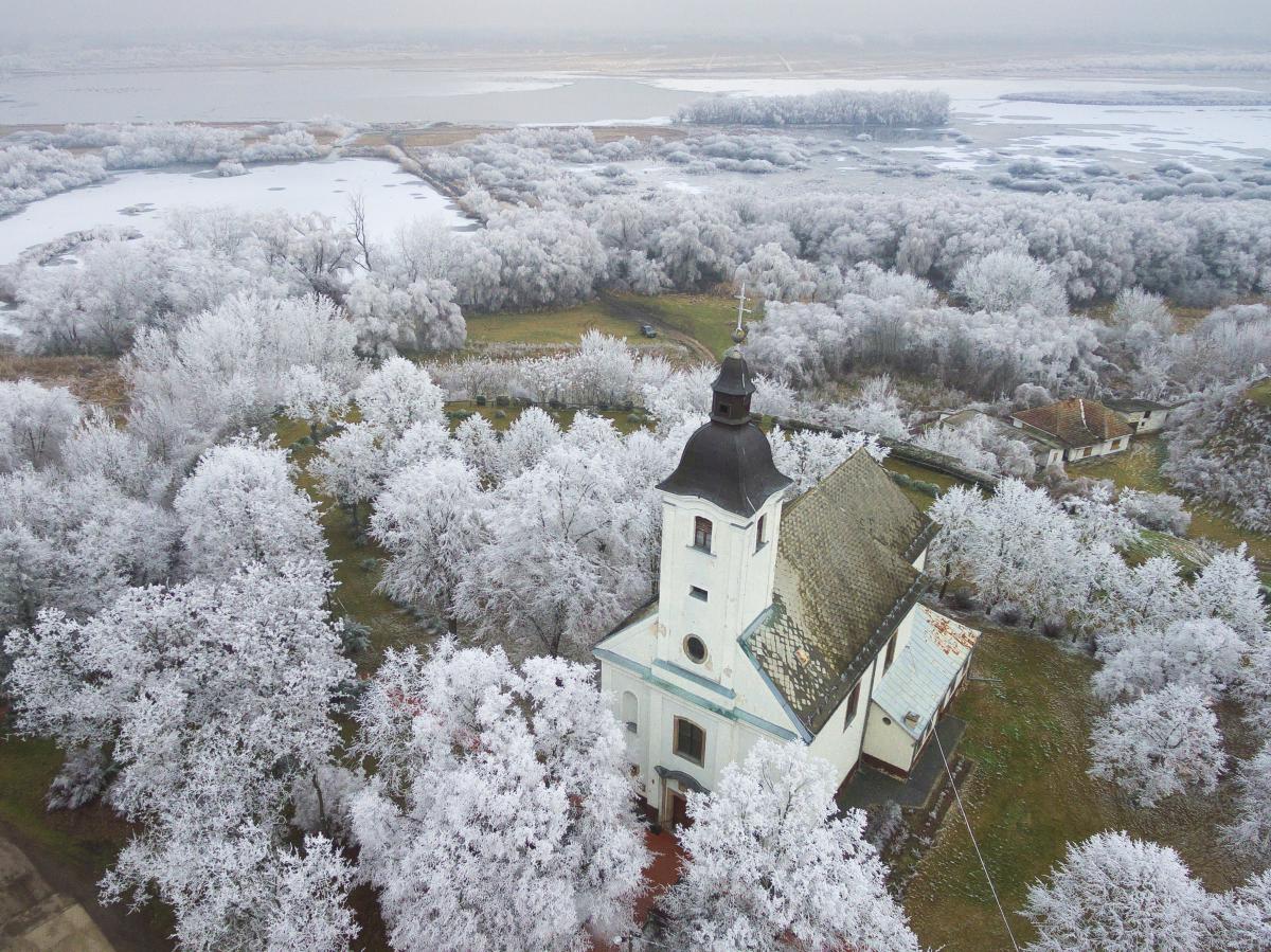 Koncz-Bisztricz Tamás